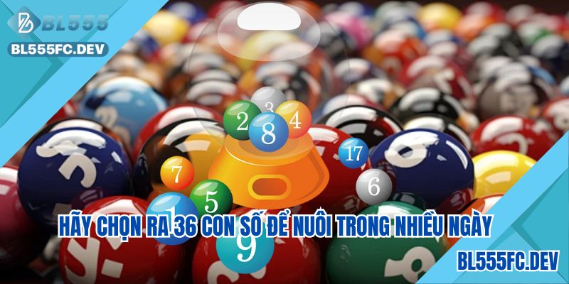 Áp dụng bộ 36 con số với tỉ lệ thắng 36%