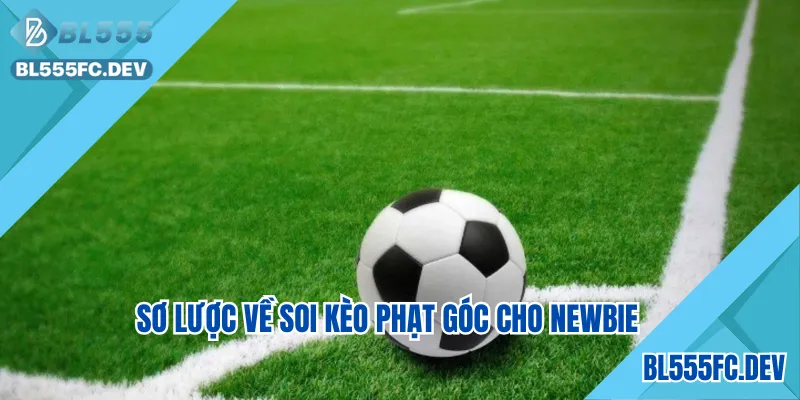 Sơ lược về soi kèo phạt góc cho Newbie